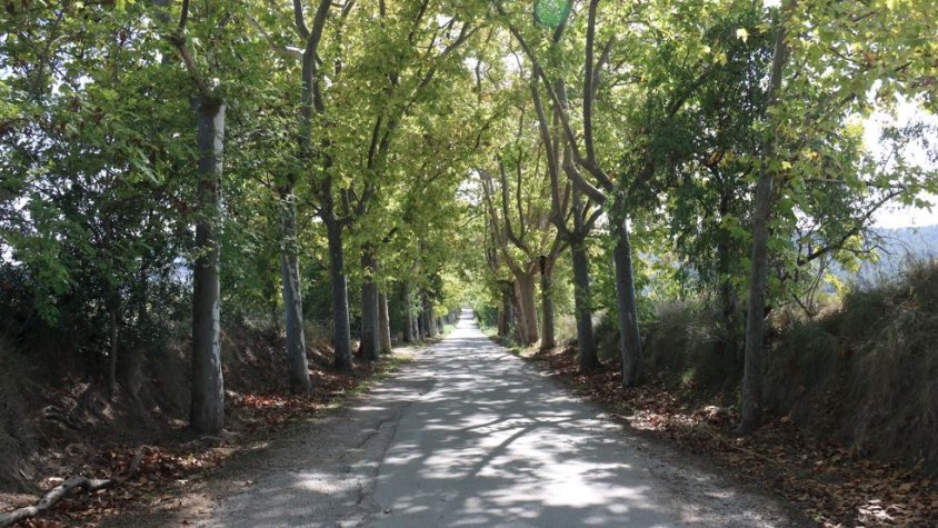 Passeig que uneix la carretera de Cerdanyola a Sant Cugat amb el Castell Sant Marçal 2021