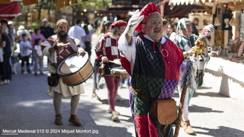 Mercat medieval de Palau-solità i Plegamans