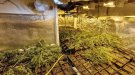 Detenen set persones per cultivar marihuana en quatre habitatges de Matadepera i Terrassa