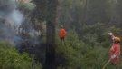 Un incendi amb tres focus a l’entrada del camí de Can Vileu activa els serveis d’emergència a Bigues i Riells