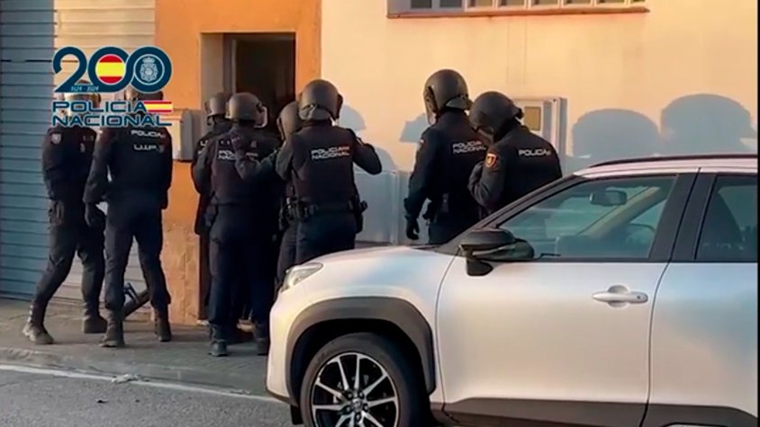 La Policia Nacional desmantella una plantació de marihuana amb 1.590 plantes en un domicili de Cardedeu