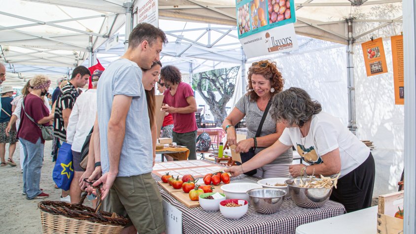 Santa Eulàlia de Ronçana viu una Fira del Tomàquet de rècord amb més de 1.700 visitants i 1.200 kg venuts