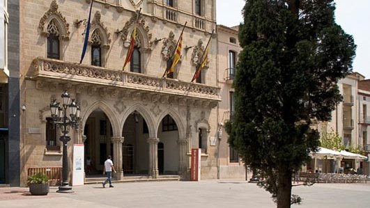 Terrassa suspèn temporalment l’adopció de gats negres per prevenir riscos en rituals de Halloween
