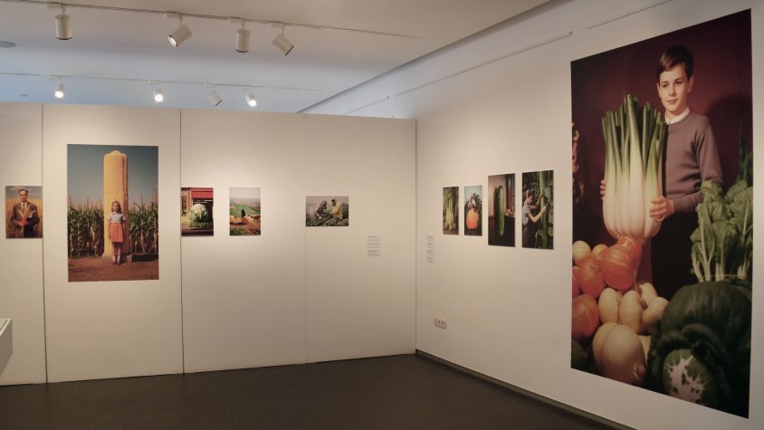 Verdures gegants i errors amb intel·ligència artificial obren la 9a edició del festival Panoràmic a Granollers