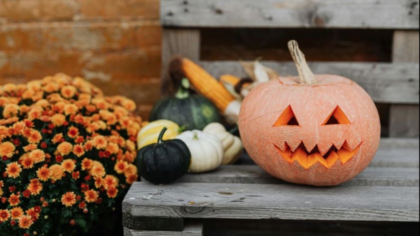Activitats Castanyada a Granollers 2025/ Activitats Halloween a Granollers 2025