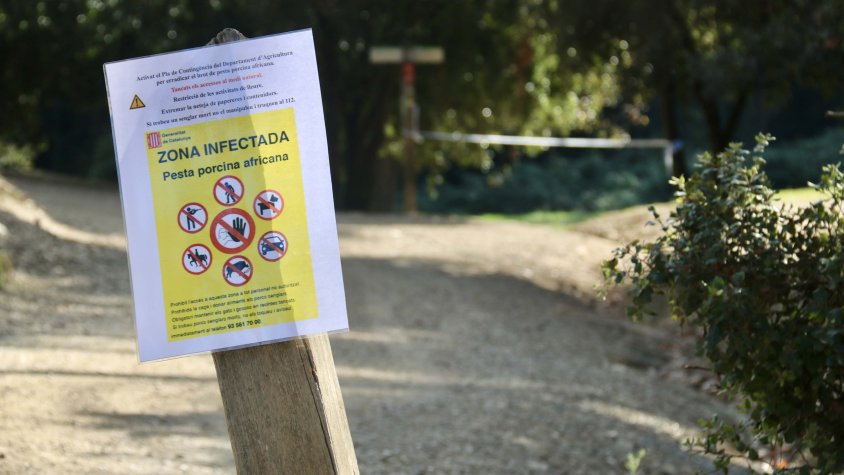 La UE amplia la zona afectada per la Pesta Porcina Africana i inclou 43 municipis del Vallès