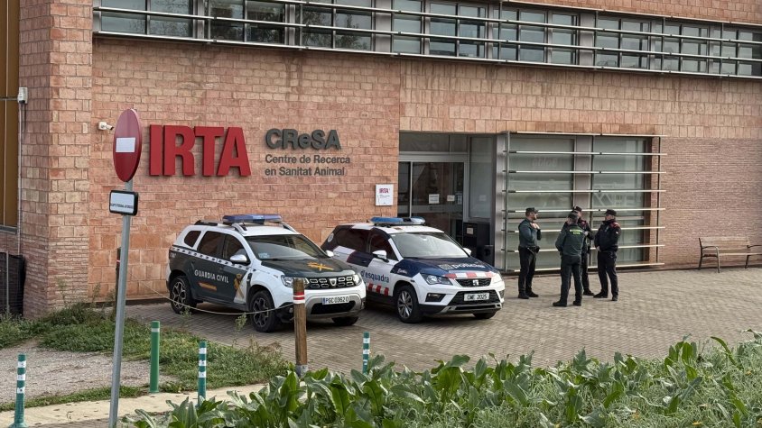 Un expert confirma que l’IRTA CReSA de Cerdanyola del Vallès és una instal·lació segura després del brot de pesta porcina africana