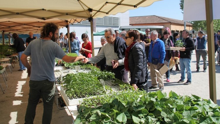 La Fira Lliga’t a la Terra convertirà Santa Eulàlia de Ronçana en l'epicentre del producte local i la cultura rural