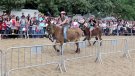 La Fira de Sant Isidre torna a Cardedeu aquest cap de setmana ple d'activitats, gastronomia, espectacles i tradició pagesa