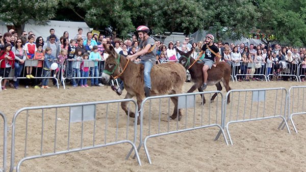 La Fira de Sant Isidre torna a Cardedeu aquest cap de setmana ple d'activitats, gastronomia, espectacles i tradició pagesa 