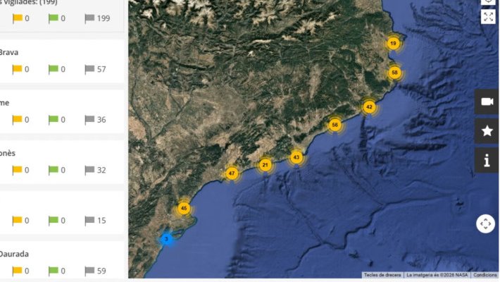 L’aplicació per consultar l’estat de les platges en temps real