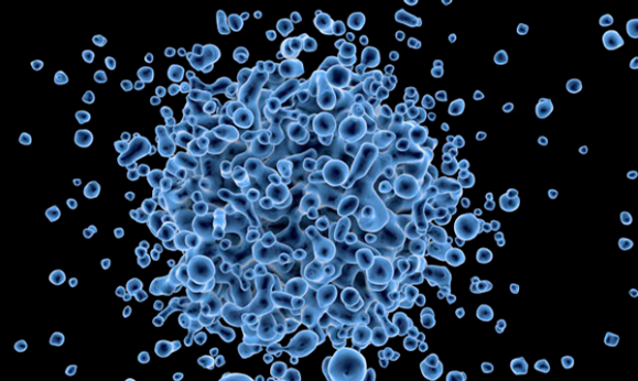 Els Mossos immobilitzen més de 1.600 litres d'un fals gel hidroalcohòlic per a mans contra el coronavirus
