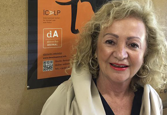 En el marc del dia mundial del "Galgo" parlem  amb Teresa Giménez-Candela, directora de l’ICALP