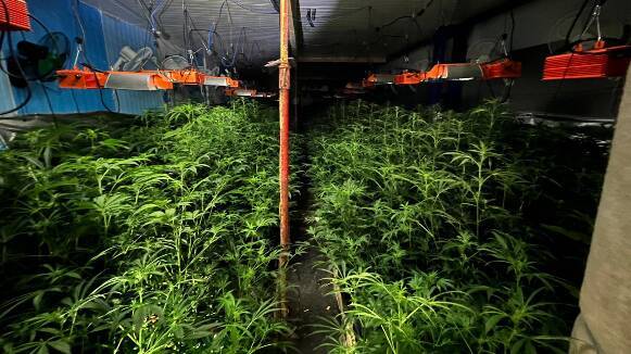Localitzen 3.000 plantes de marihuana dins d'una nau industrial a Granollers a causa d'un incendi