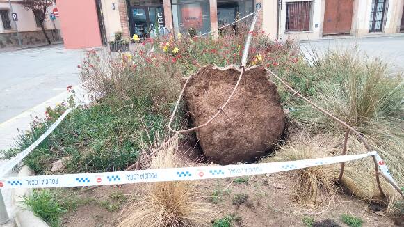 Incident a la plaça de Sant Joan de Cardedeu: L'Estelada sotmesa a acte vandàlic