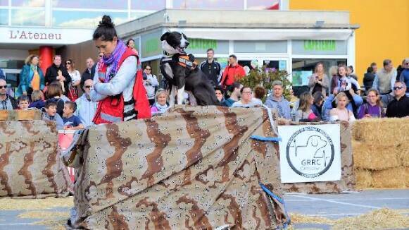 Sant Fost celebra la tercera edició de la FostAnimal, la fira animalista amb exhibició d'unitats canines, passarel·la d'adopció i activitats