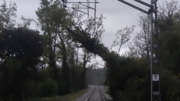 Interrupció en el servei ferroviari a la línia R3 per un arbre a les vies entre Manlleu i Ripoll