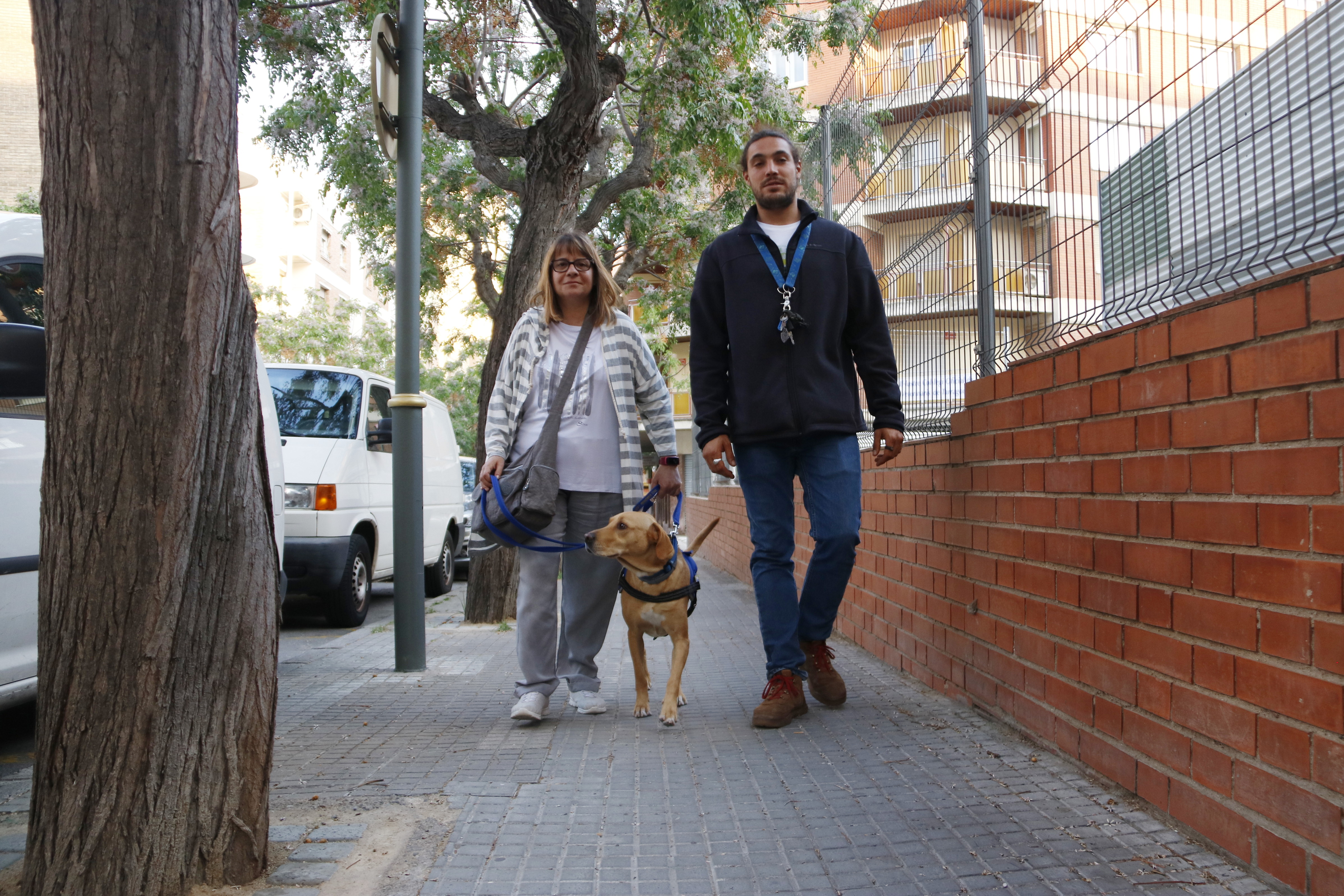 Lliuren el primer gos de servei instruït per ajudar a persones amb esclerosi múltiple