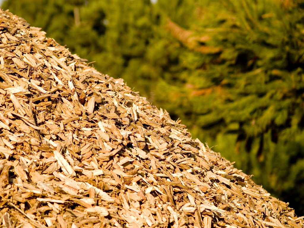 El Vallès Occidental obre el nou Centre de Biomassa Comarcal que permetrà mobilitzar fins a 9.500 tones de fusta verda