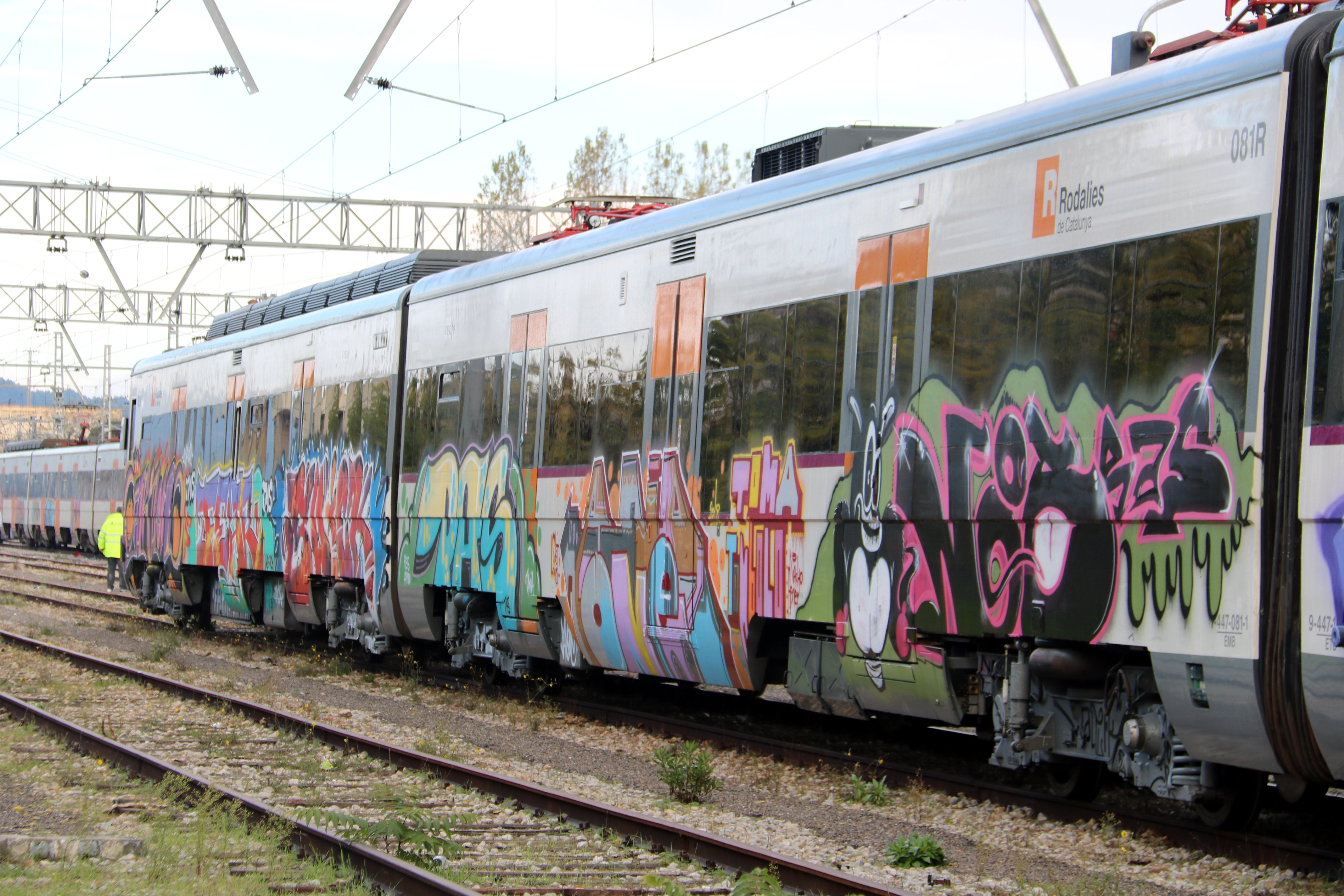 Vagons del tren accidentat a Vacarisses apareixen plens de pintades
