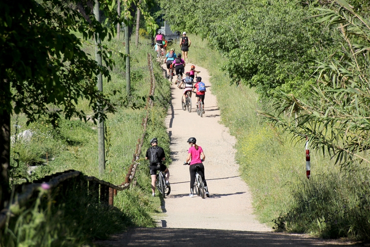 Èxit de participació en la XV Bicicletada pel Besòs