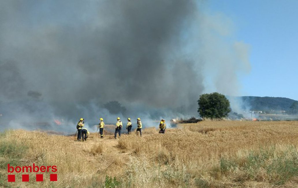 Un incendi crema 10 ha agrícoles a Cardedeu