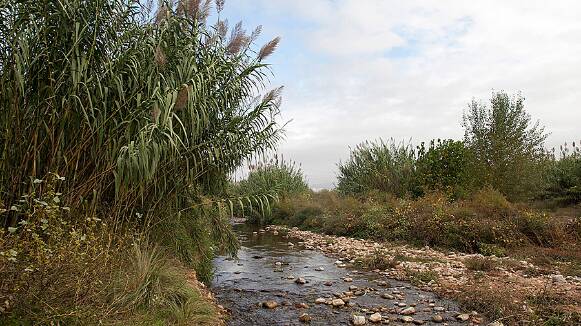 Anàlisi de la recuperació del riu Tenes per part del Consorci Besòs Tordera