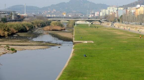 Santa Coloma engega un nou projecte de 'recolonització' del riu Besòs