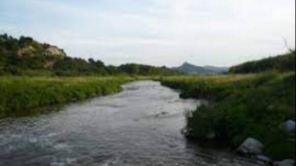 AMPLIACIÓ: Santa Coloma engega un nou projecte de 'recolonització' del riu Besòs