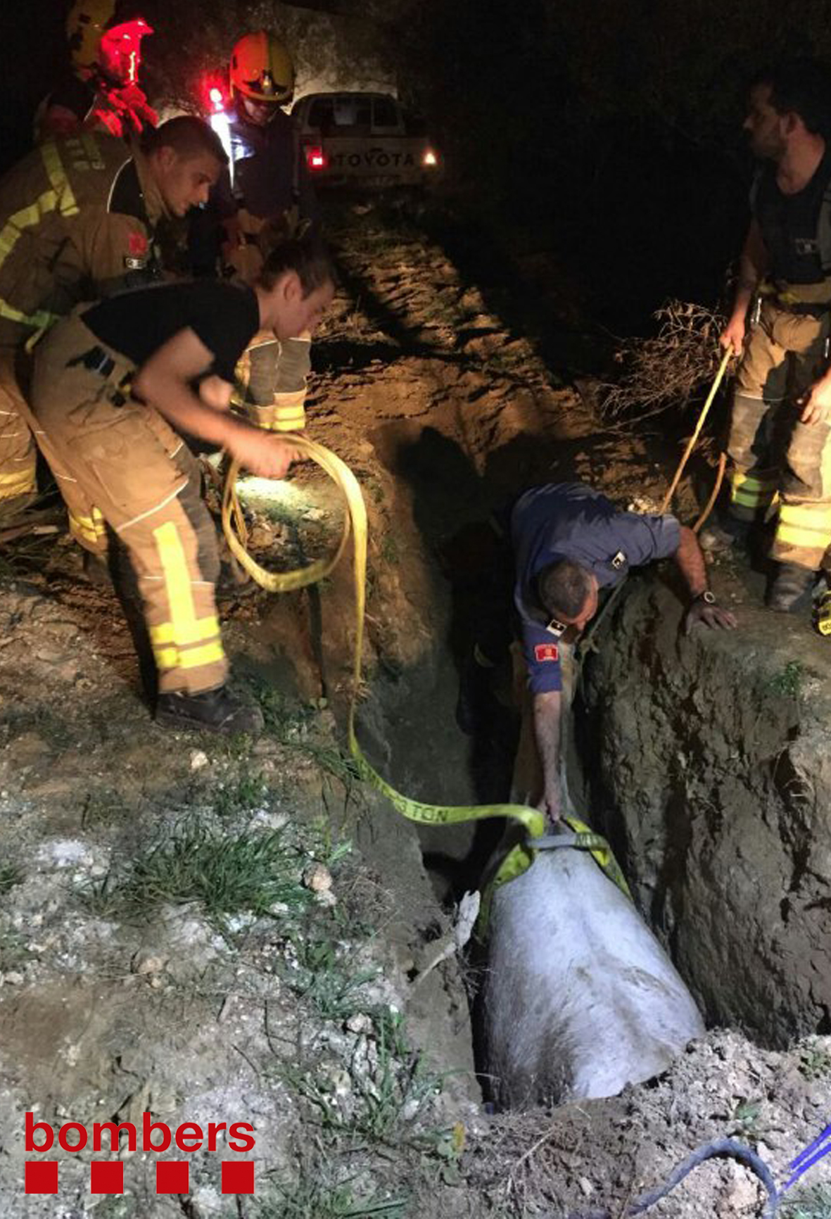 Rescaten una euga que havia caigut en una rasa de dos metres de fondària a Castellar del Vallès