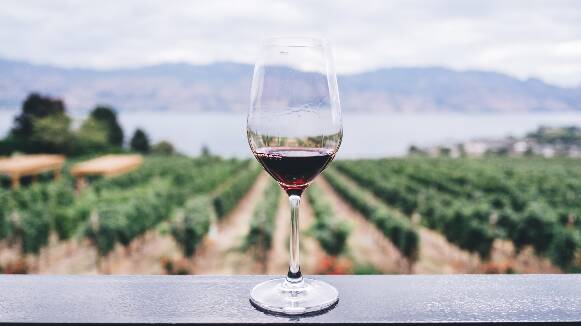 Tracewindu, el projecte de la UAB que incorpora unes etiquetes intel·ligents per millorar el seguiment de les ampolles de vi