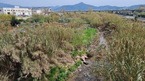 El Ple Municipal de Ripollet admet més d'un milió d'euros per al projecte de recuperació de la llera dels rius
