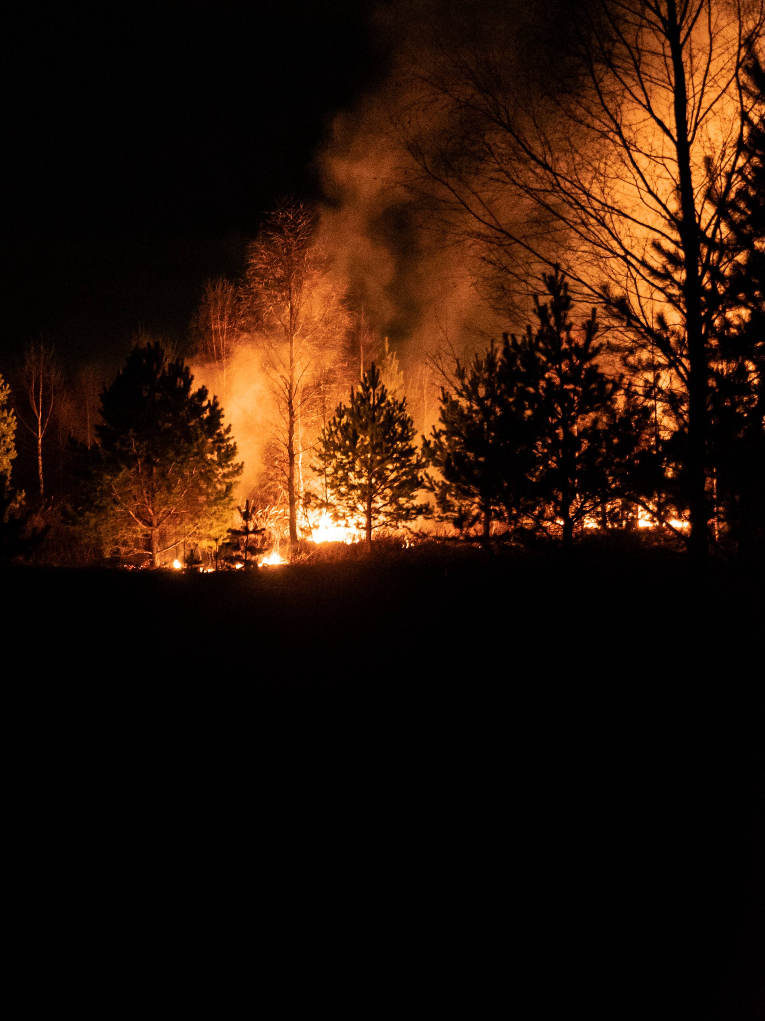 L'incendi que ha cremat 8,4 hectàrees de vegetació ja està controlat