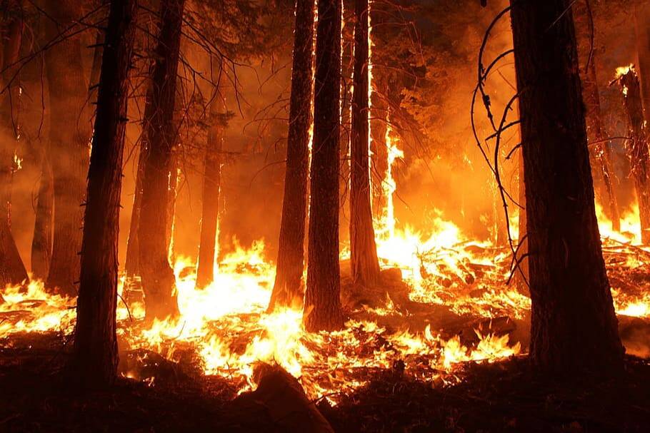 Es registren un centenar d'incendis en les comarques catalanes en el primer Pla de prevenció d'incendis forestals
