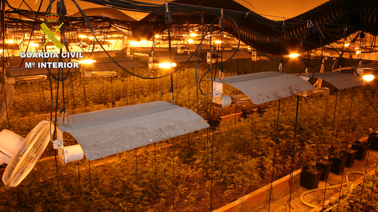 La Guàrdia Civil intervé 3,3 tones d'haixix i 5.800 plantes de marihuana a Llinars del Vallès