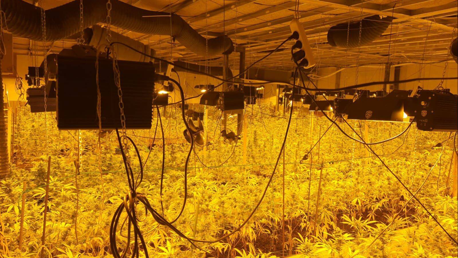S'han trobat en un magatzem industrial de Sentmenat una plantació de Marihuana