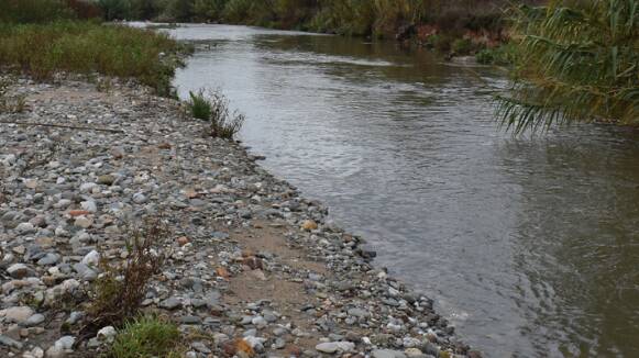 L'empresa Ditecsa està duent a terme un projecte de restauració degut als greus danys ambientals que va causar al riu Besòs