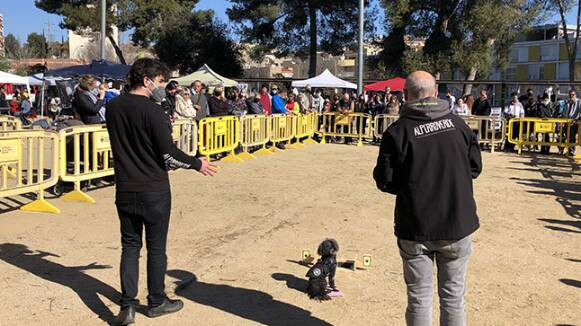 Gran acollida a la Festa dels Animals de Sant Quirze