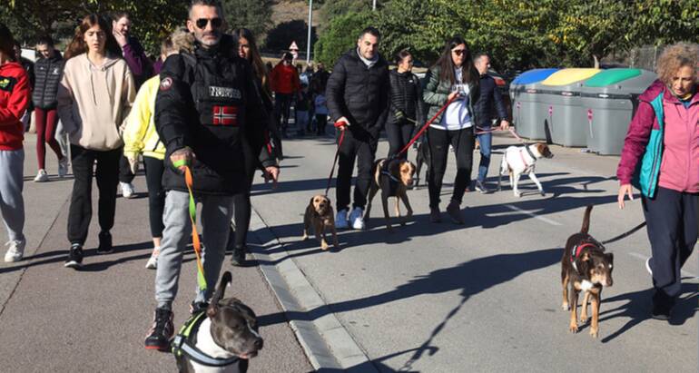 Prop de 400 persones van participar en la Caminada Solidària de l'Associació Protectora d'Animals de Parets