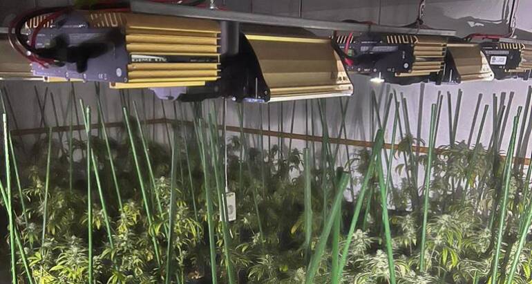 Els Mossos detenen a dues persones després d'incendiar-se el pis on cultivaven quasi 400 plantes de marihuana