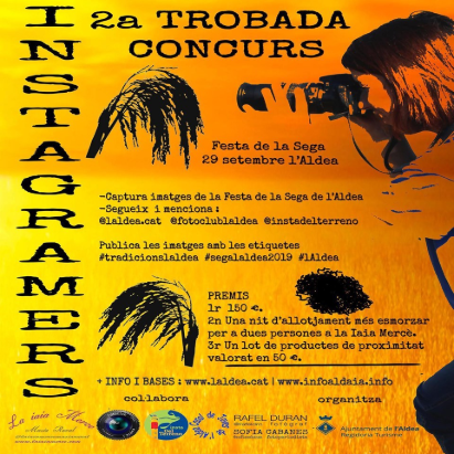 festa de la sega de l'arros de l'aldea